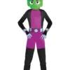 Beast Boy Costume