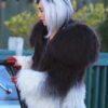 Buy Now Cruella De Ville Coat