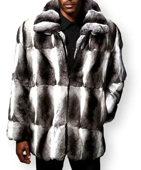 Chinchilla Grey Coat