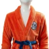 Dragon-Ball-zRobe