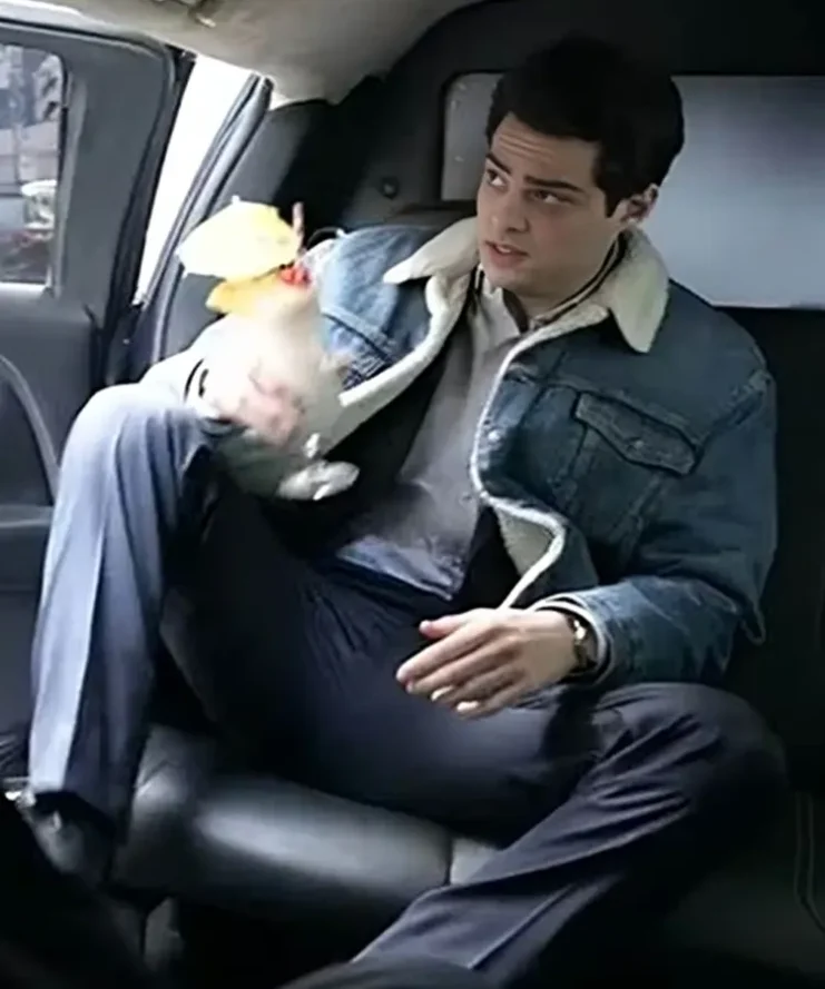 The Recruit 2022 Noah Centineo Faux Fur Jacket