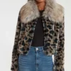 Wynonna Earp Waverly Leopard Grey Fur Jacket