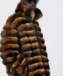 Yellow Chinchilla Fur Jacket side