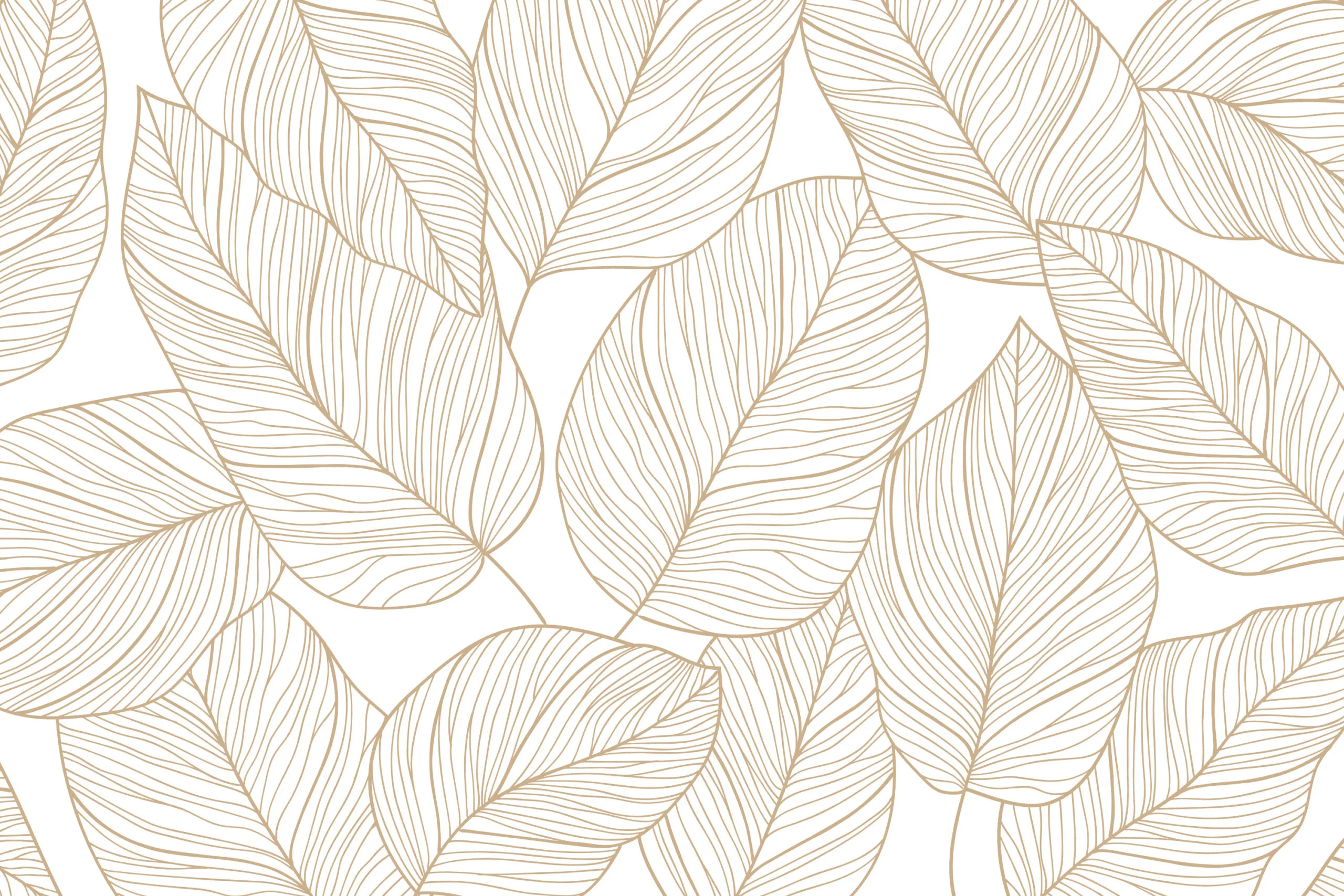 Track Your Orders Background