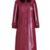 Dylan Dreyer The Today Show Rain Coat