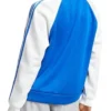 Three-Stripe Blue And White Track Jacket