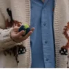 Ryland Grace Project Hail Mary Ryan Wolf Cardigan
