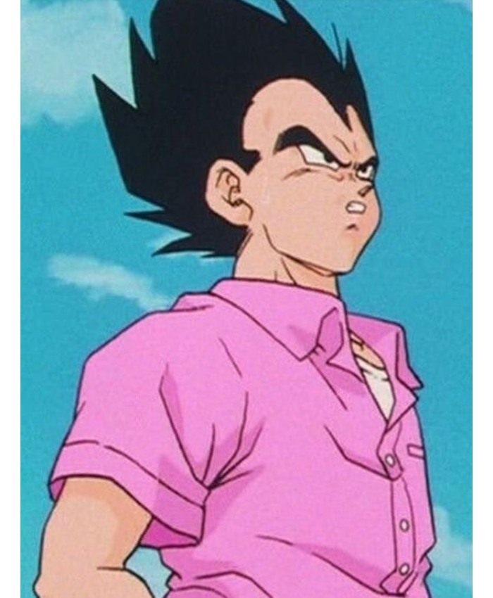 Vegeta Dragon Ball Z Pink Shirt