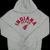 Caitlin Clark Indiana Fever Grey Hoodie