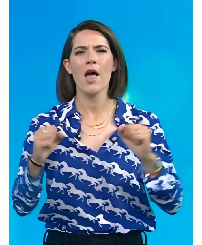 The Today Show 2025 Daryn Carp Horse Blue and White Print Silk Shirt
