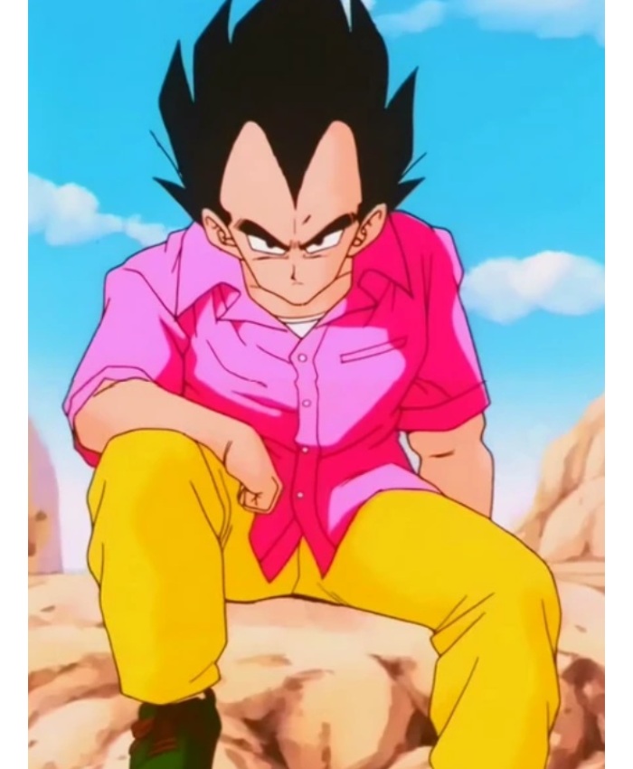Buy Dragon Ball Z Vegeta’s Pink Shirt