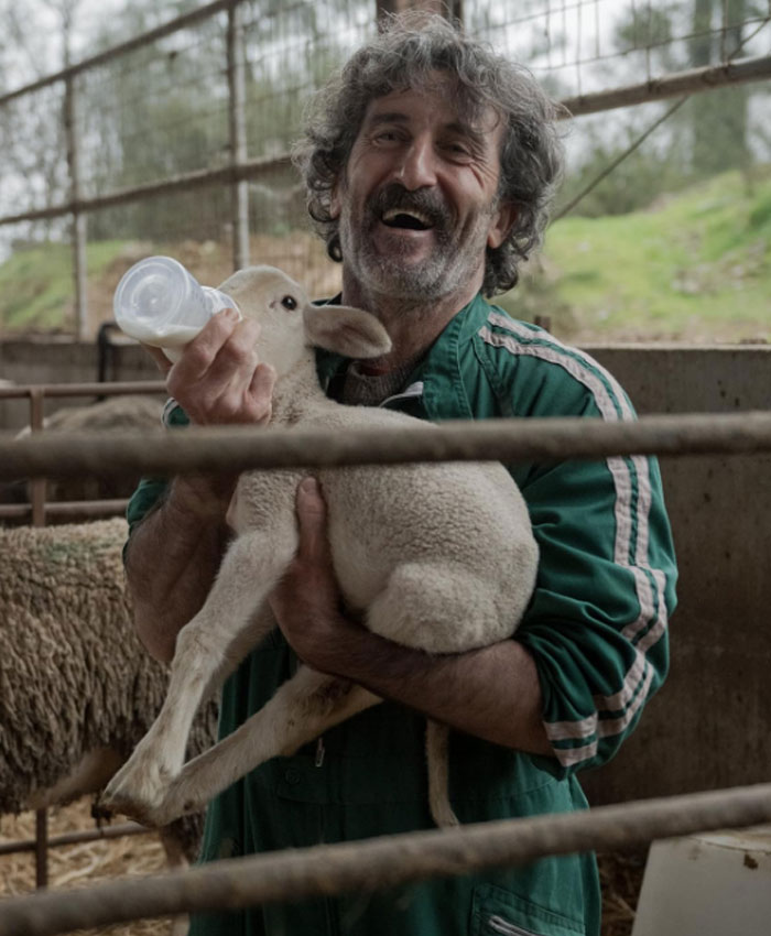 Animal Luis Zahera Green Cotton Jumpsuit