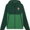 Portuguese footballer Cristiano Ronaldo World Cup Qualifier Green Hooded Jacket