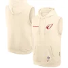 Arizona Cardinals 2025 Sleeveless Hoodie