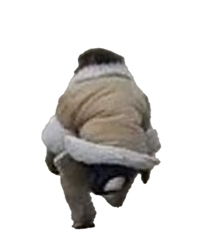 Ikea Monkey Shearling Jacket Back