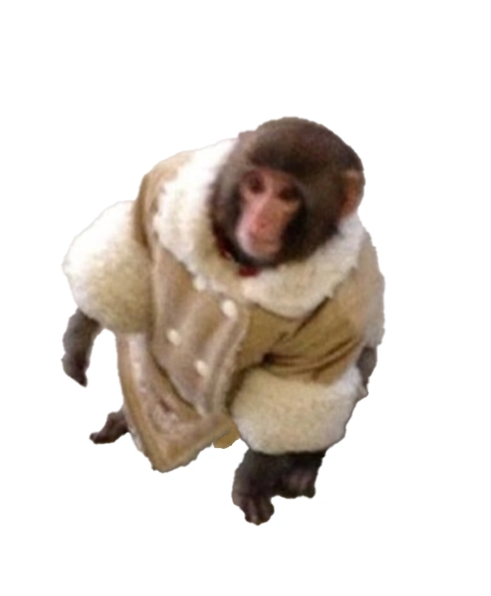 Ikea Monkey Shearling Jacket