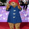 Paddington Bear 2026 BAFTA Film Awards Duffle Coat For Sale