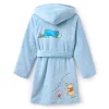 Winnie the Pooh and Pals Robe For Sale