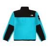 Supreme x The North Face Arc Logo Fleece Jacket Blue Back