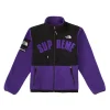 Supreme x The North Face Arc Logo Fleece Jacket Purple