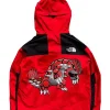 Pokémon x North Face Mountain Jacket